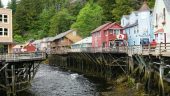Amazing Tour In Ketichan Alaska