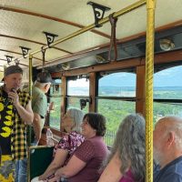 City Tours