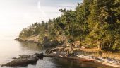 Fun way to see the San Juan Islands & animals