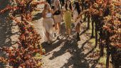 A Perfectly Paired Wine Country Tour