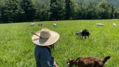 Wonderful experience at Roam on the Range!!